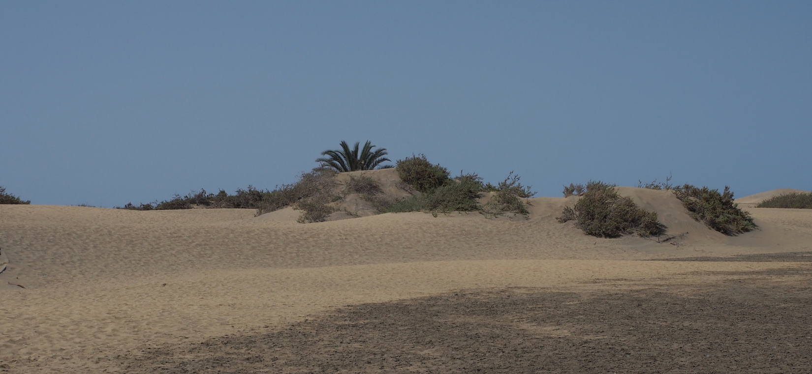 Nazwa:  P7120150...B.jpg
Wyświetleń: 106
Rozmiar:  444,4 KB