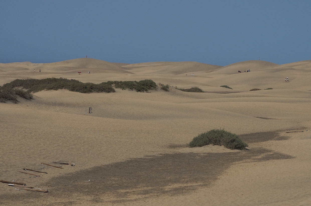 Nazwa:  P7120151...B.jpg
Wyświetleń: 109
Rozmiar:  437,7 KB