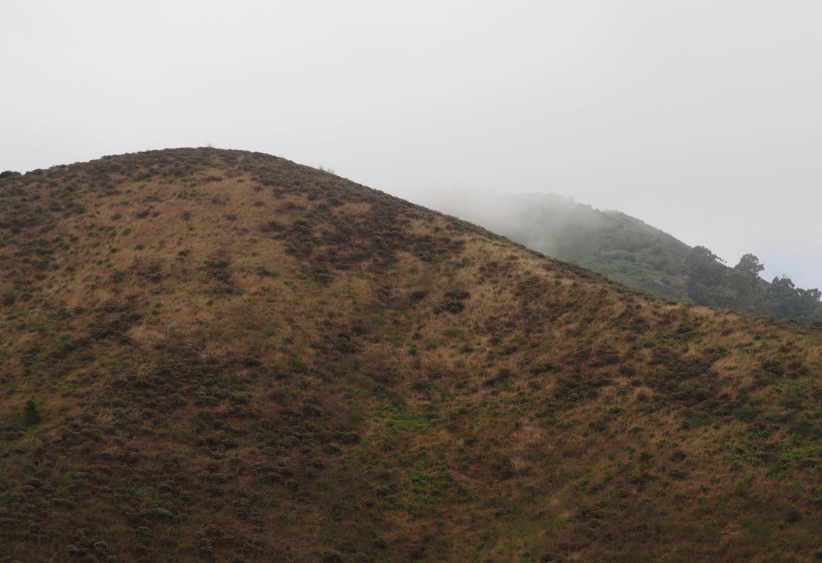 Nazwa:  P7080073...B.jpg
Wyświetleń: 85
Rozmiar:  677,2 KB