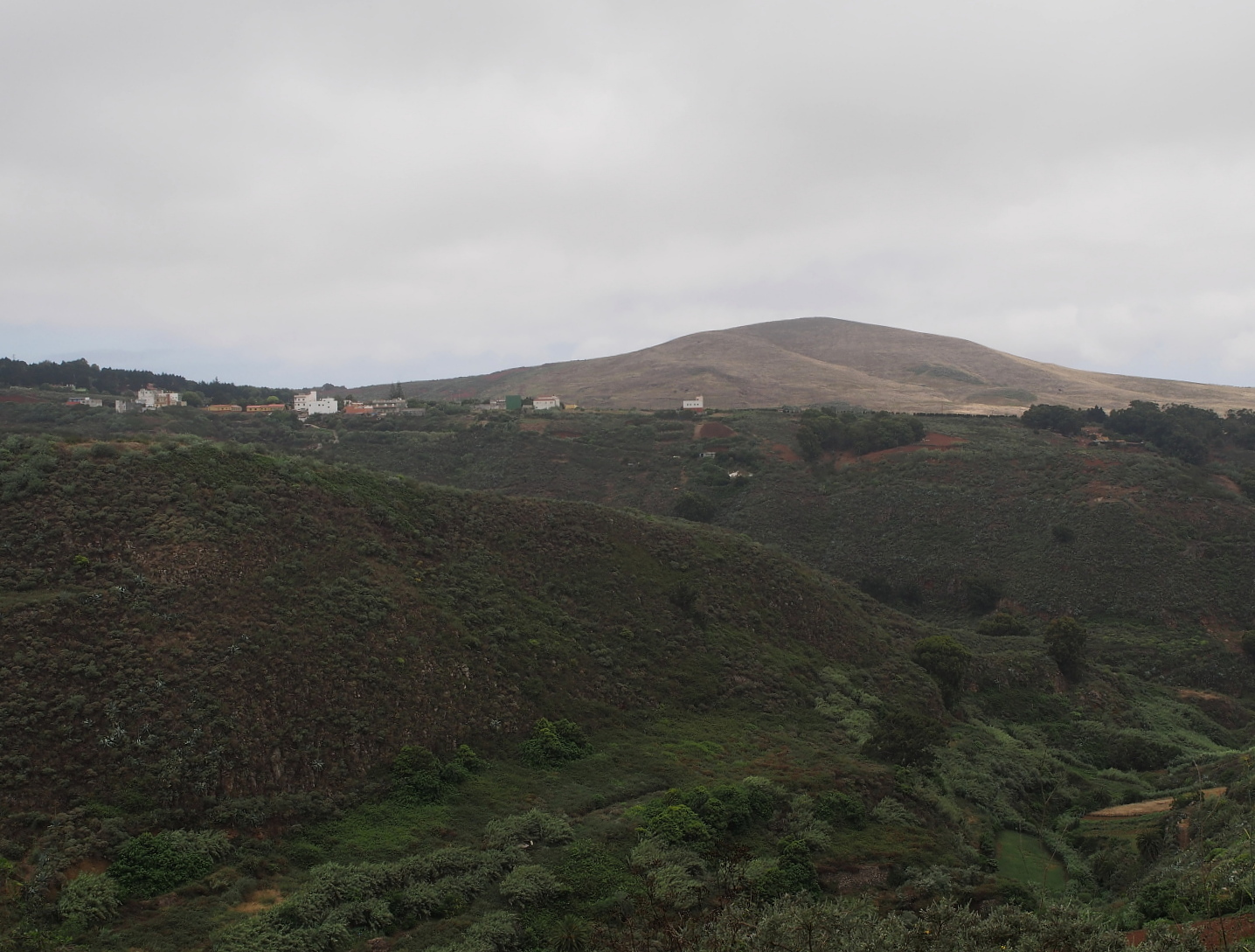 Nazwa:  P7080077...B.jpg
Wyświetleń: 81
Rozmiar:  594,2 KB