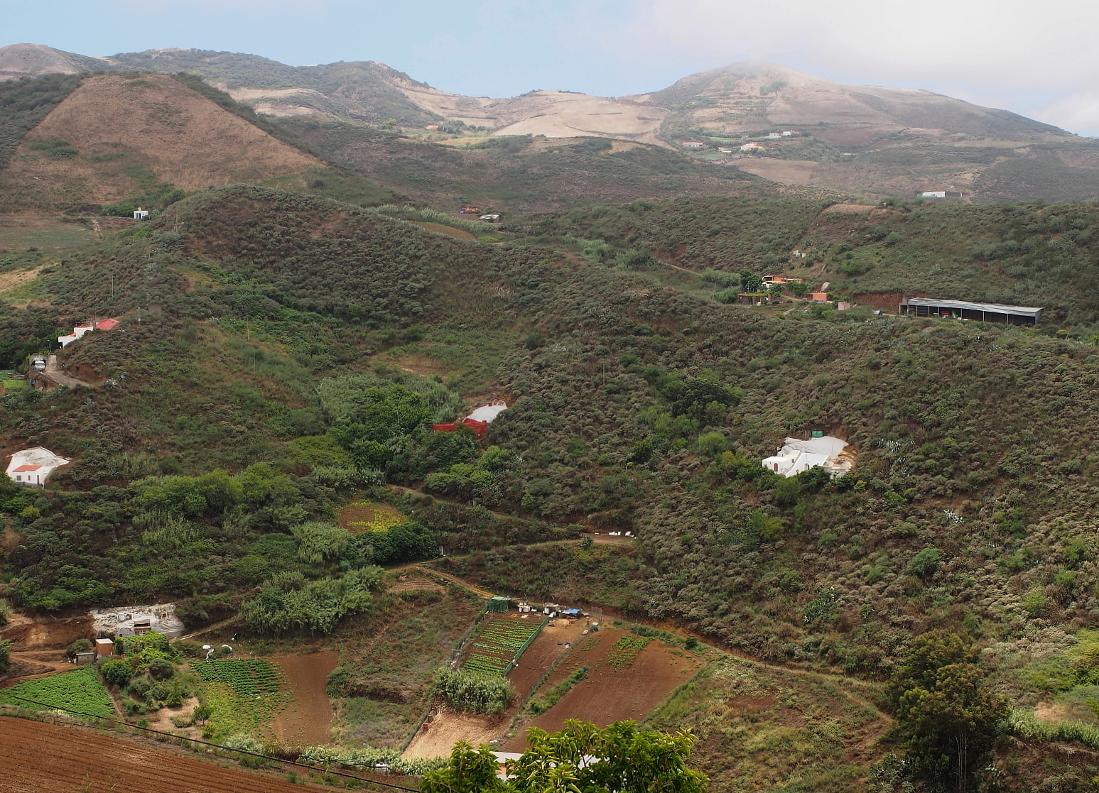 Nazwa:  P7080076...B.jpg
Wyświetleń: 84
Rozmiar:  1,17 MB