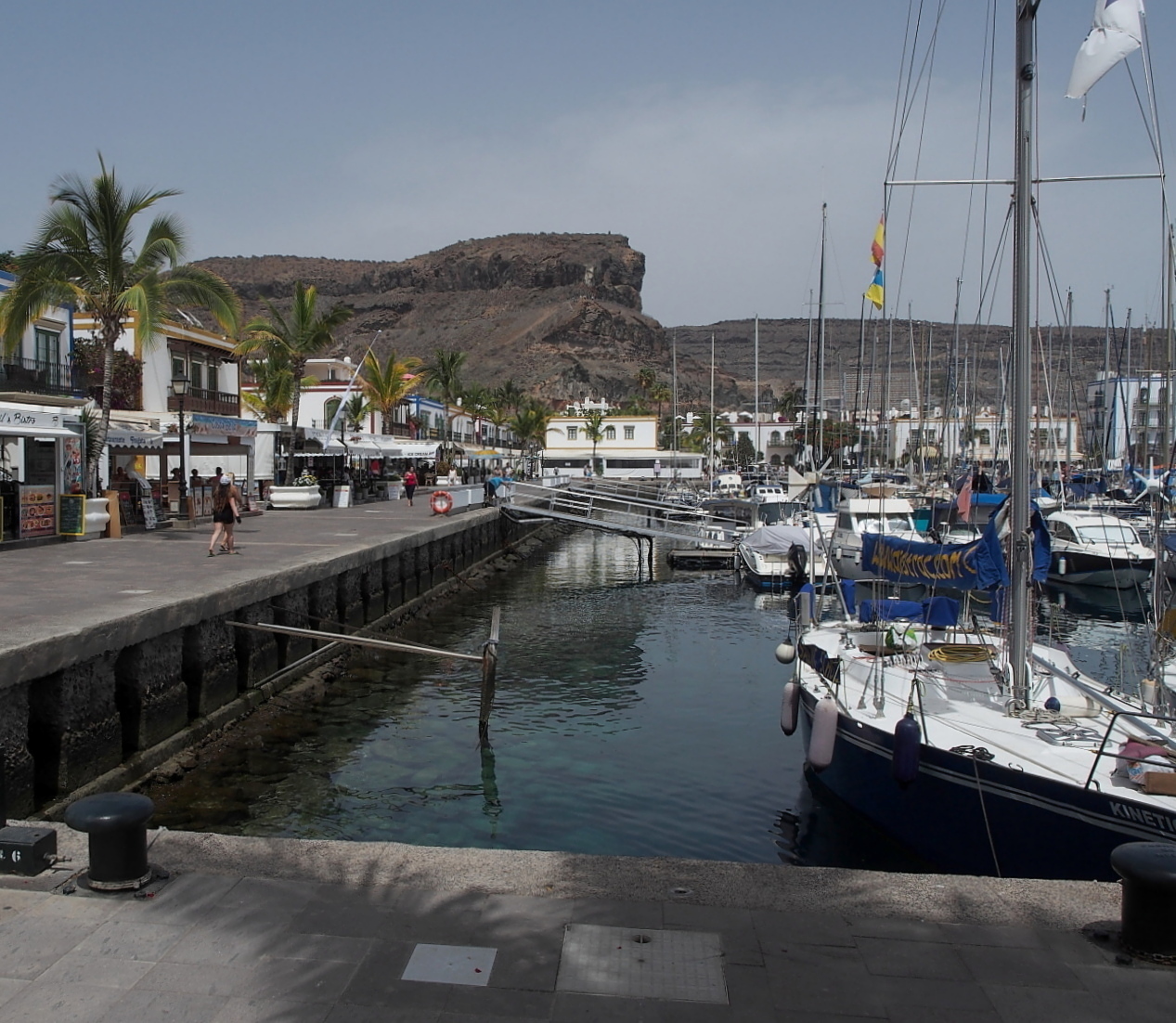 Nazwa:  P7130233...B.jpg
Wyświetleń: 75
Rozmiar:  600,0 KB