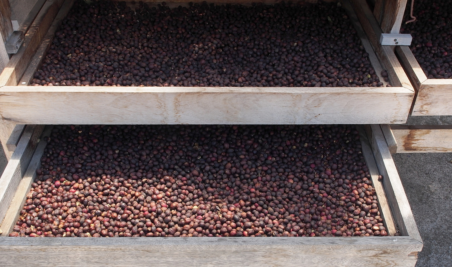 Nazwa:  P7080093...B.jpg
Wyświetleń: 210
Rozmiar:  771,9 KB