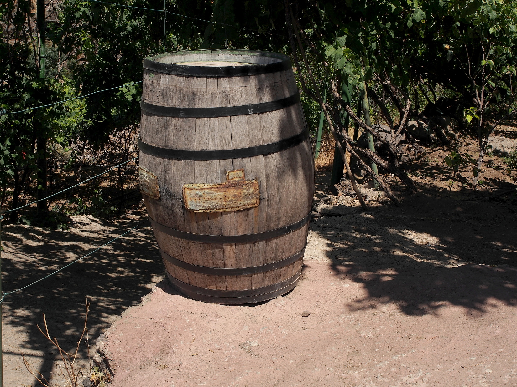 Nazwa:  P7080100...A.jpg
Wyświetleń: 175
Rozmiar:  1,46 MB