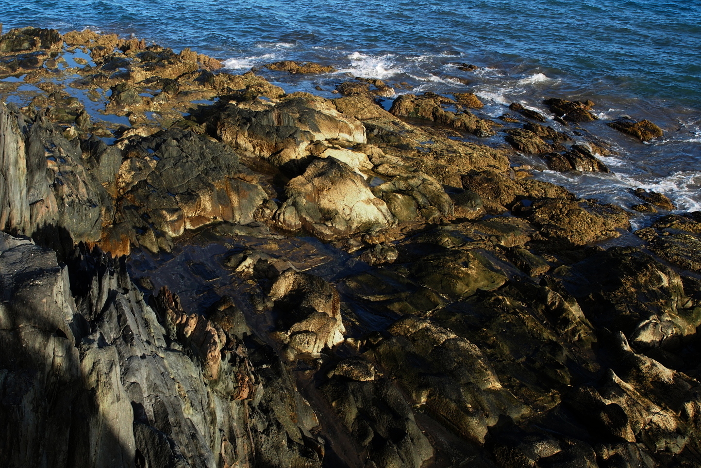 Nazwa:  P7050001...D.jpg
Wyświetleń: 117
Rozmiar:  1,05 MB