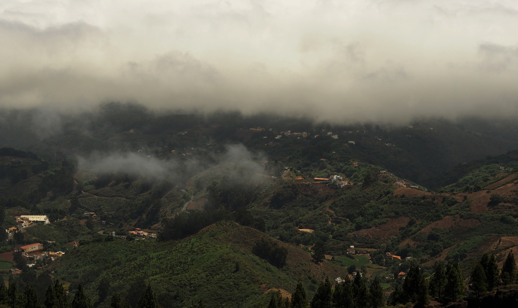 Nazwa:  P7080388...B.jpg
Wyświetleń: 102
Rozmiar:  597,4 KB