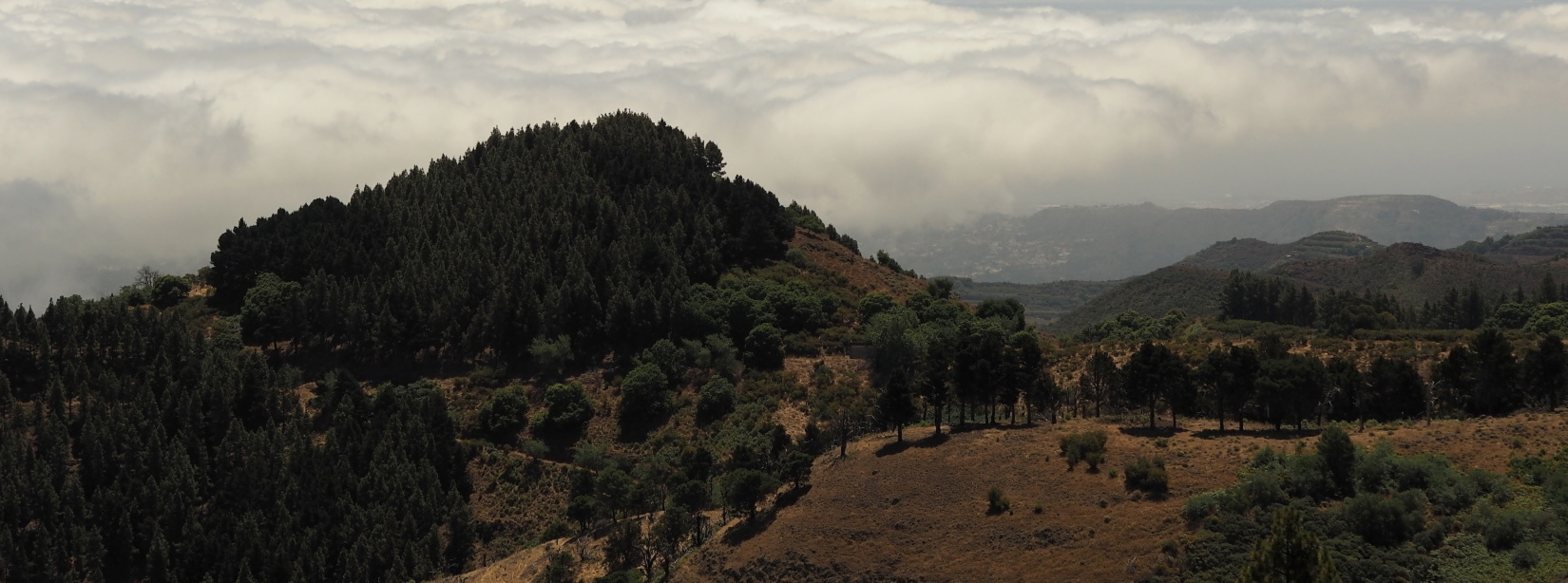 Nazwa:  P7080389..B.jpg
Wyświetleń: 100
Rozmiar:  437,7 KB