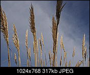 Kliknij obrazek, aby uzyskać większą wersję

Nazwa:	olympus_epm2_15_OV3 z korekcjÄ.jpg
Wyświetleń:	436
Rozmiar:	316,9 KB
ID:	179230