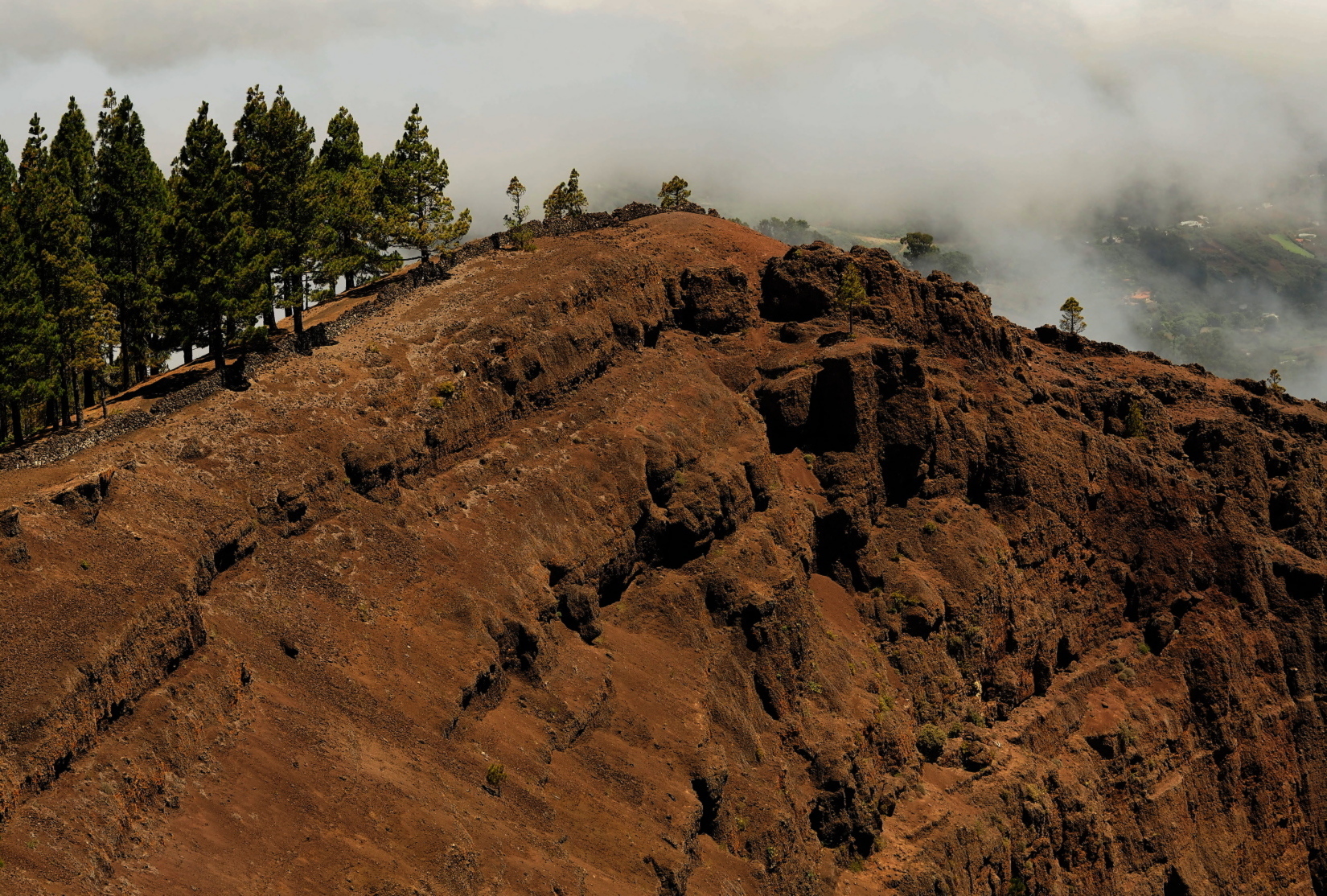 Nazwa:  P7080386...B.jpg
Wyświetleń: 94
Rozmiar:  1,35 MB