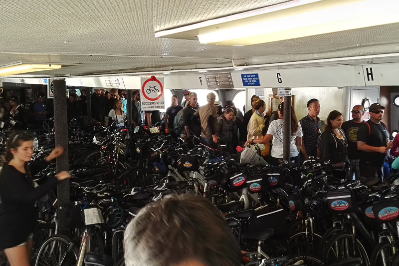 Nazwa:  SF - bikes-183033.jpg
Wyświetleń: 208
Rozmiar:  391,0 KB