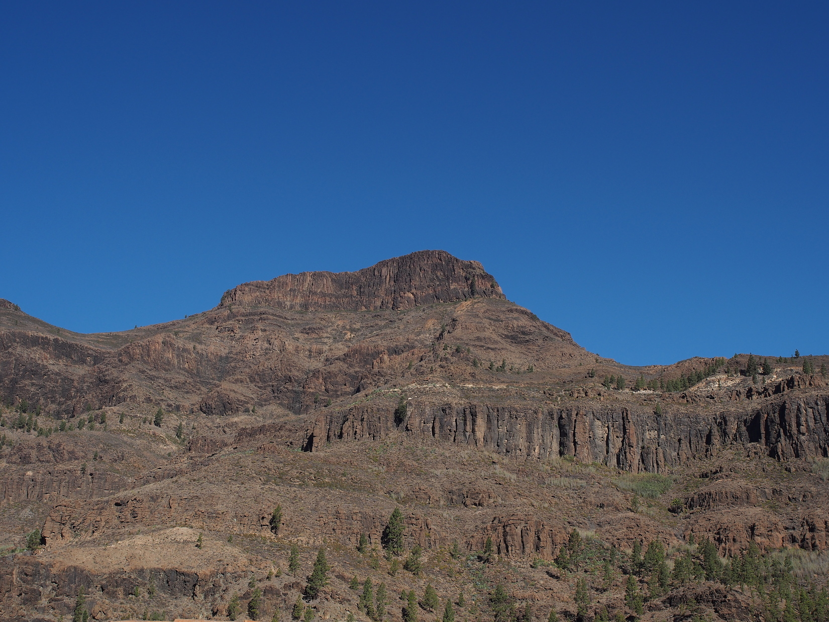 Nazwa:  P7080019...A.jpg
Wyświetleń: 145
Rozmiar:  1,07 MB