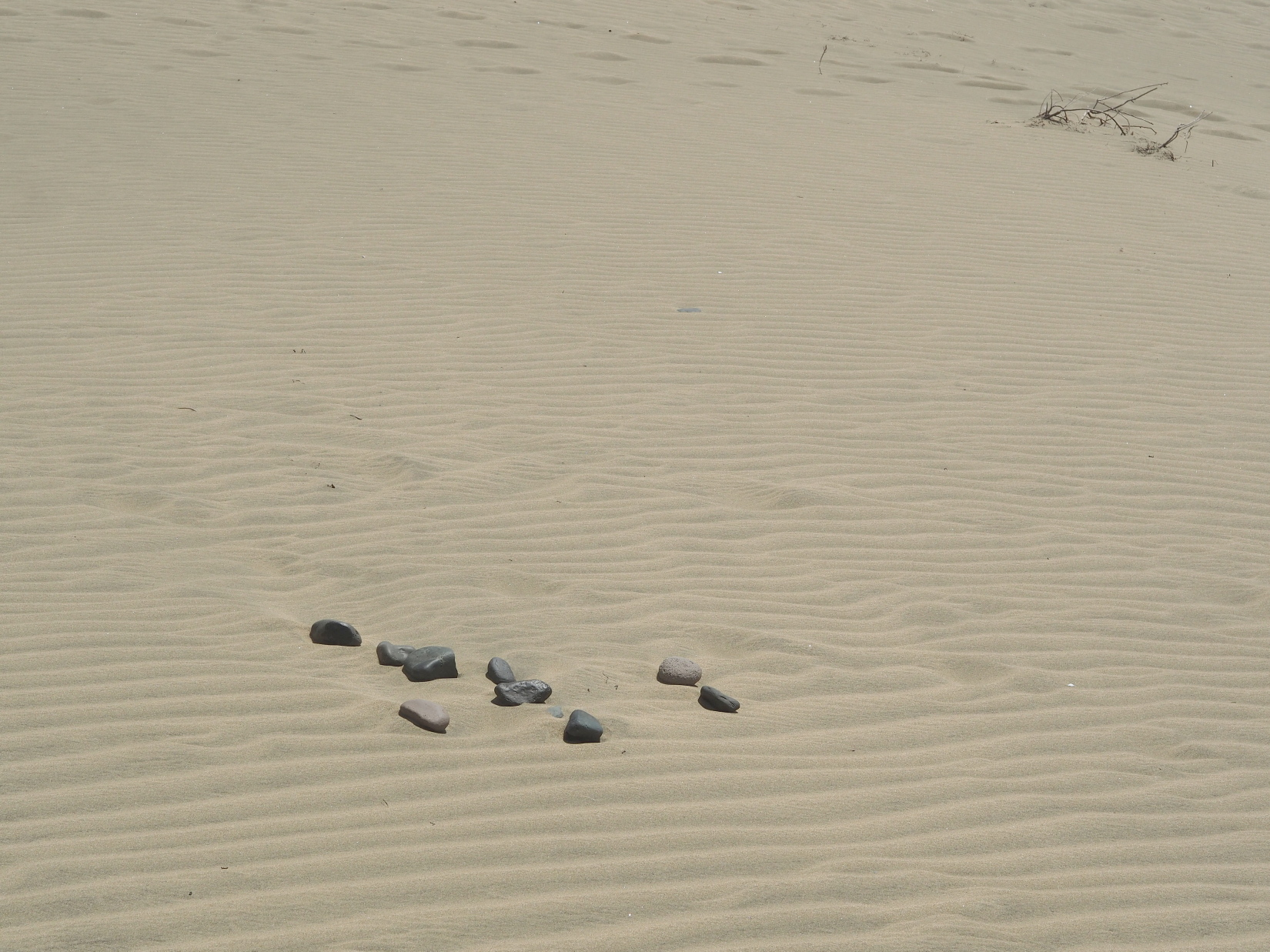 Nazwa:  P7120445...A.jpg
Wyświetleń: 121
Rozmiar:  990,9 KB