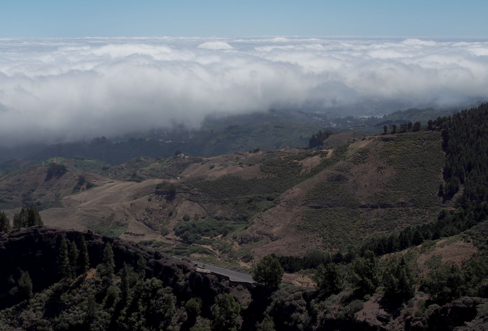 Nazwa:  P7080058..B.jpg
Wyświetleń: 123
Rozmiar:  675,5 KB