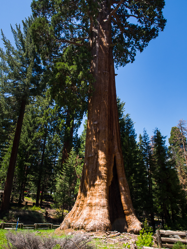 Nazwa:  seq-135.JPG
Wyświetleń: 92
Rozmiar:  714,4 KB