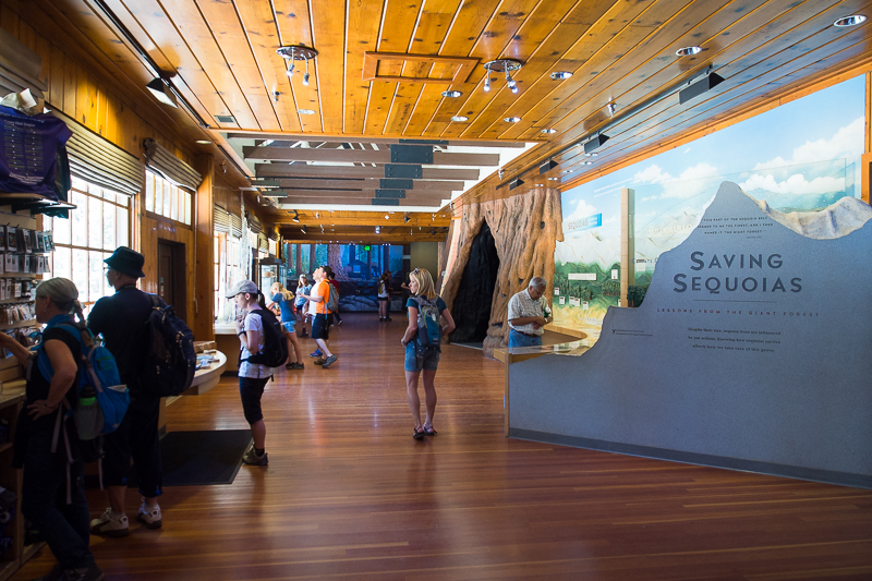 Nazwa:  seq-140.JPG
Wyświetleń: 92
Rozmiar:  483,0 KB