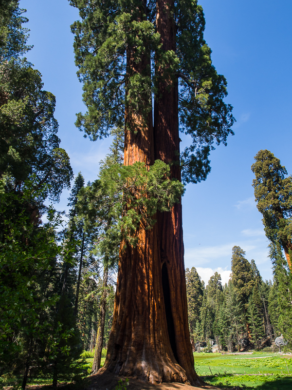 Nazwa:  seq-183.JPG
Wyświetleń: 75
Rozmiar:  695,4 KB