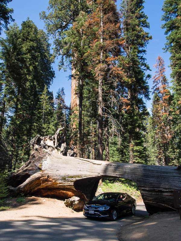 Nazwa:  seq-185.JPG
Wyświetleń: 76
Rozmiar:  780,9 KB