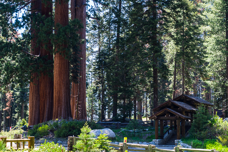 Nazwa:  a-139.JPG
Wyświetleń: 89
Rozmiar:  707,7 KB