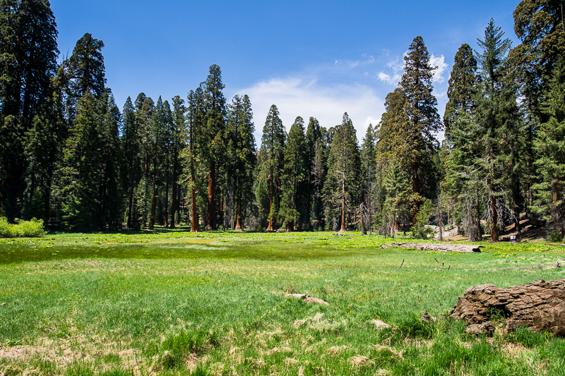 Nazwa:  b-151.JPG
Wyświetleń: 93
Rozmiar:  707,7 KB