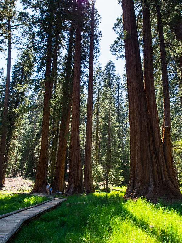 Nazwa:  d-163.JPG
Wyświetleń: 79
Rozmiar:  783,1 KB