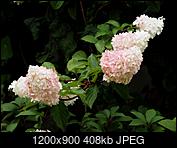 Kliknij obrazek, aby uzyskać większą wersję

Nazwa:	P8060825.JPG
Wyświetleń:	395
Rozmiar:	407,8 KB
ID:	180101