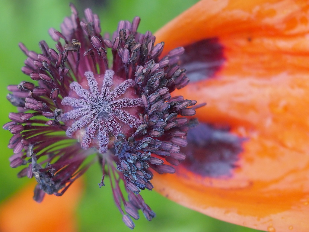 Kliknij obrazek, aby uzyskać większą wersję

Nazwa:	DC160125.1.1.jpg
Wyświetleń:	98
Rozmiar:	215,2 KB
ID:	180148