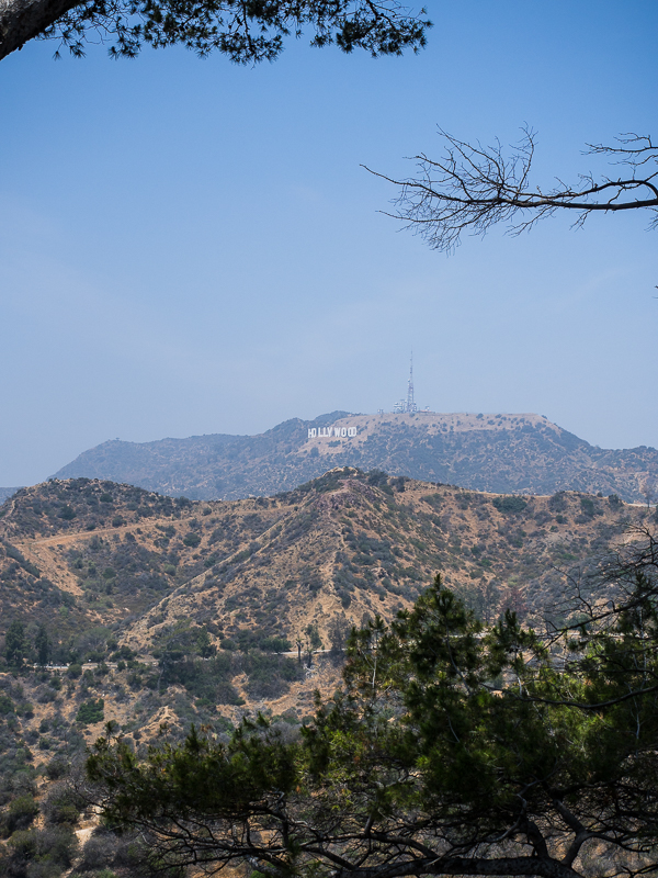 Nazwa:  untitled-113.JPG
Wyświetleń: 174
Rozmiar:  489,4 KB