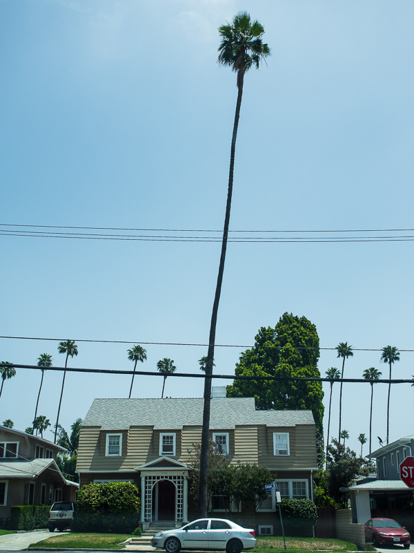 Nazwa:  untitled-115.JPG
Wyświetleń: 172
Rozmiar:  355,8 KB