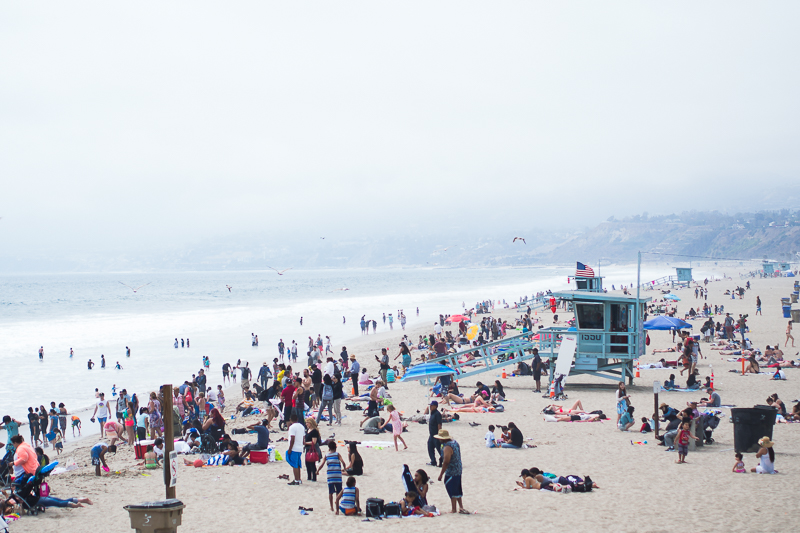 Nazwa:  untitled-227.JPG
Wyświetleń: 167
Rozmiar:  344,6 KB