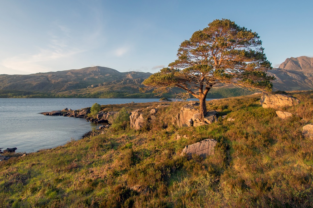 Kliknij obrazek, aby uzyskać większą wersję

Nazwa:	Y0009003.jpg
Wyświetleń:	135
Rozmiar:	437,4 KB
ID:	180274