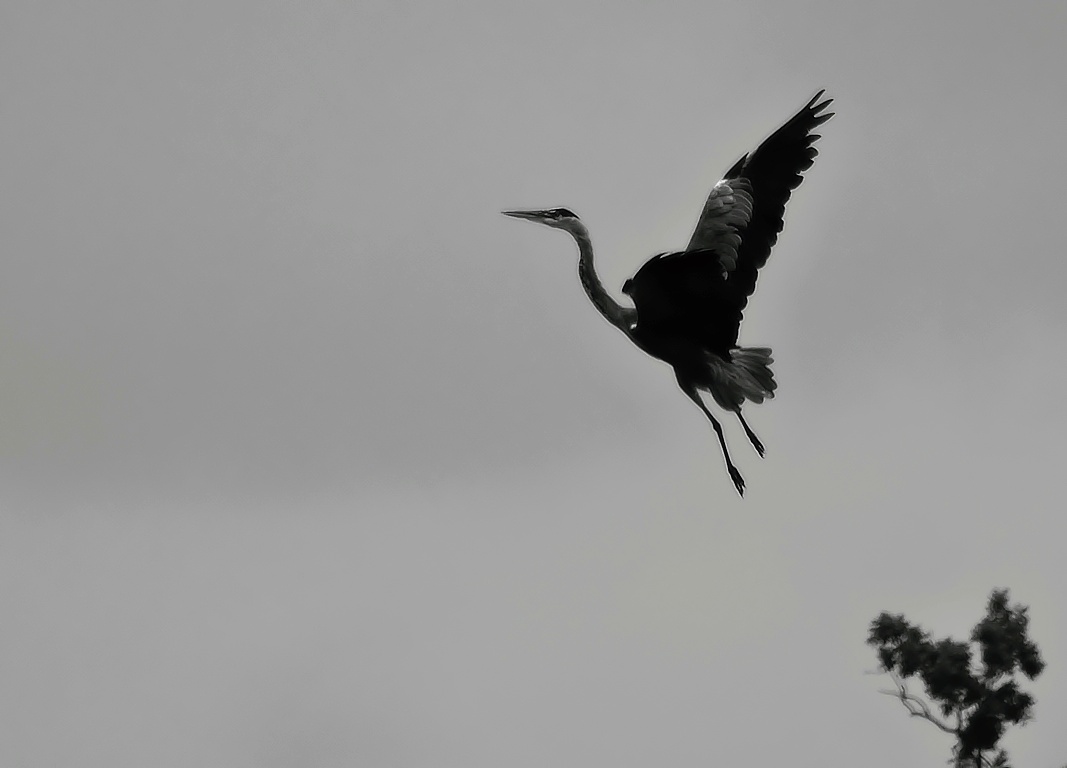 Kliknij obrazek, aby uzyskać większą wersję

Nazwa:	301.jpg
Wyświetleń:	195
Rozmiar:	93,7 KB
ID:	180282