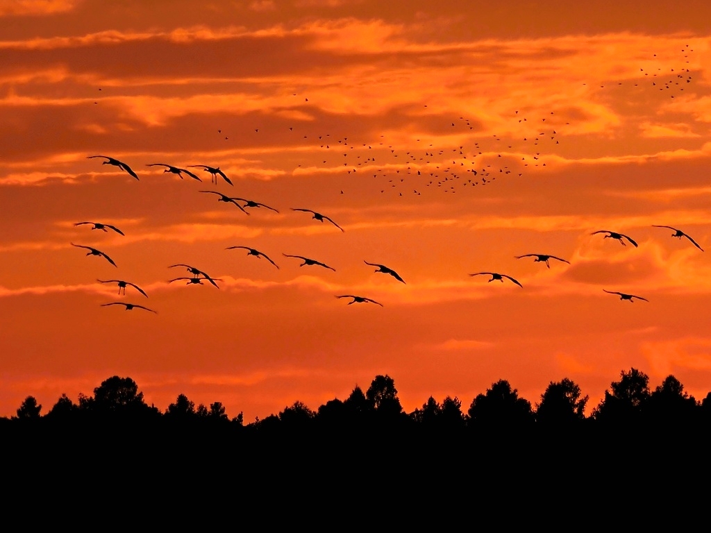 Kliknij obrazek, aby uzyskać większą wersję

Nazwa:	301.jpg
Wyświetleń:	169
Rozmiar:	349,6 KB
ID:	180384