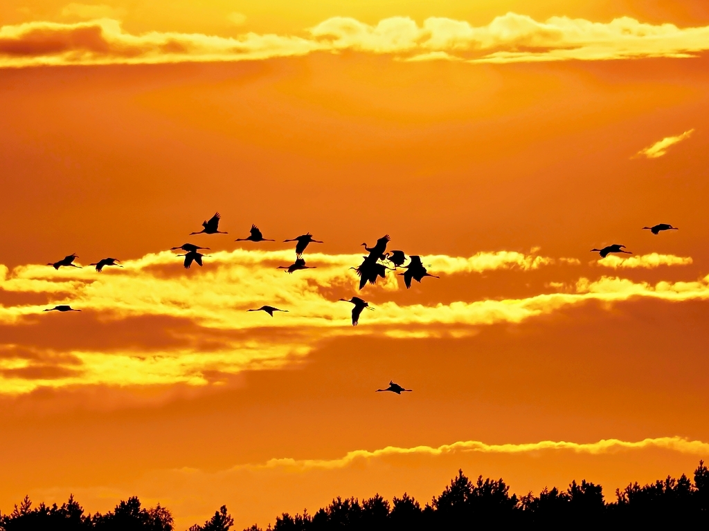 Kliknij obrazek, aby uzyskać większą wersję

Nazwa:	302.jpg
Wyświetleń:	182
Rozmiar:	476,3 KB
ID:	180385