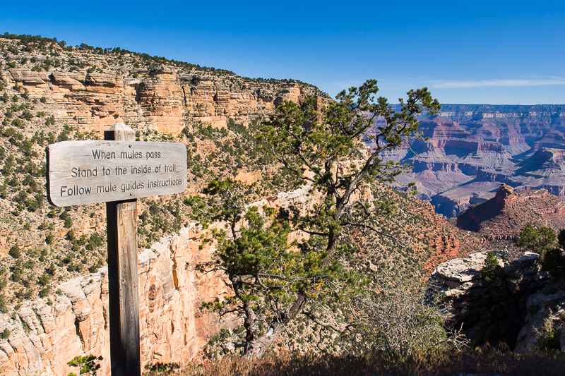 Nazwa:  Canyon-2.JPG
Wyświetleń: 218
Rozmiar:  695,8 KB