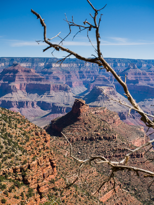 Nazwa:  Canyon-4.JPG
Wyświetleń: 210
Rozmiar:  737,7 KB