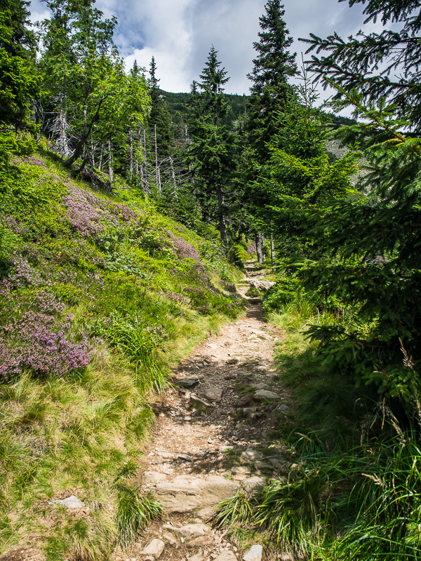 Nazwa:  Spindleruv-3.JPG
Wyświetleń: 203
Rozmiar:  853,9 KB