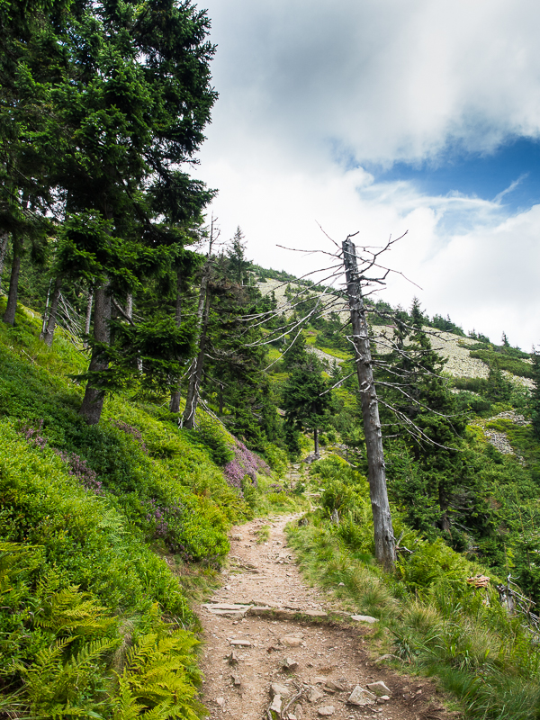 Nazwa:  Spindleruv-4.JPG
Wyświetleń: 197
Rozmiar:  713,0 KB