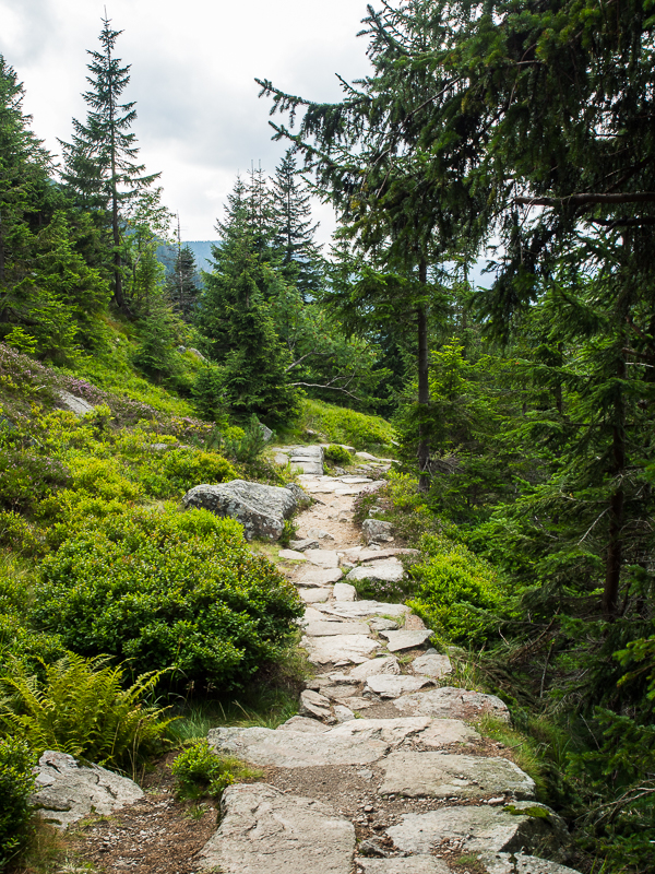 Nazwa:  Spindleruv-10.JPG
Wyświetleń: 200
Rozmiar:  781,3 KB