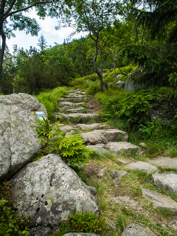 Nazwa:  Spindleruv-12.JPG
Wyświetleń: 206
Rozmiar:  803,3 KB