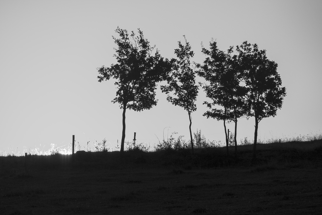 Kliknij obrazek, aby uzyskać większą wersję

Nazwa:	Y0005946.jpg
Wyświetleń:	120
Rozmiar:	253,3 KB
ID:	180849