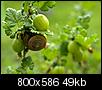 Kliknij obrazek, aby uzyskać większą wersję

Nazwa:	001.jpg
Wyświetleń:	259
Rozmiar:	49,1 KB
ID:	18099