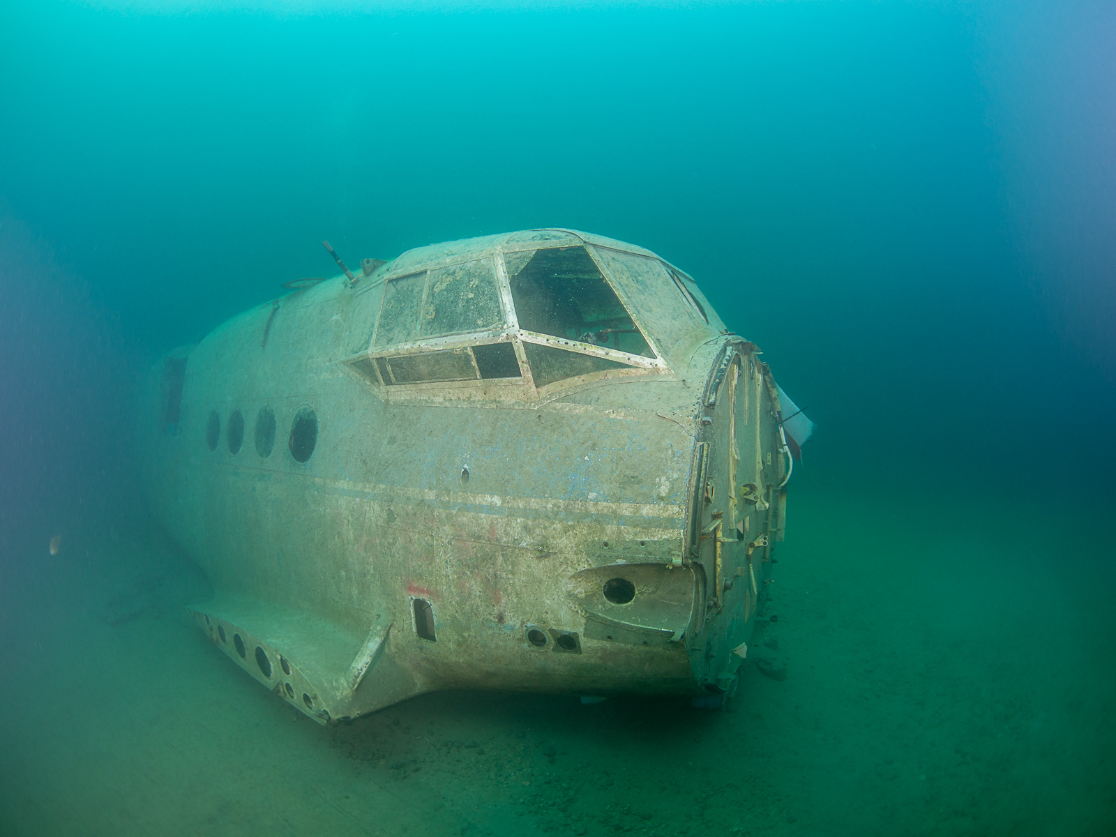 Nazwa:  2016-08-25_1522_P8250020.jpg
Wyświetleń: 128
Rozmiar:  425,2 KB