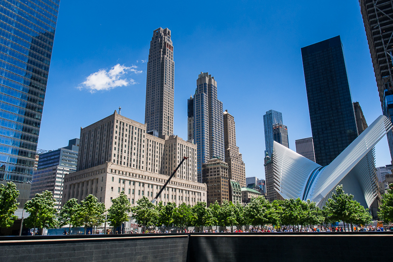 Nazwa:  NY-5-2.JPG
Wyświetleń: 232
Rozmiar:  522,2 KB