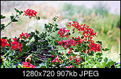 Kliknij obrazek, aby uzyskać większą wersję

Nazwa:	P7100005a.jpg
Wyświetleń:	373
Rozmiar:	906,8 KB
ID:	182086