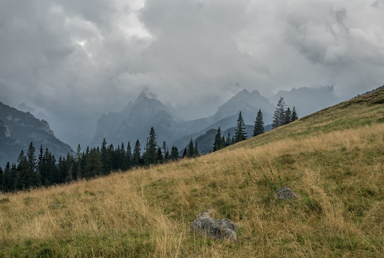 Nazwa:  RohaczeSOlek-.JPG
Wyświetleń: 613
Rozmiar:  824,2 KB