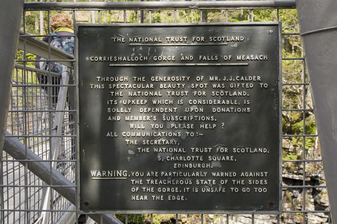 Nazwa:  Y0009263.jpg
Wyświetleń: 407
Rozmiar:  395,4 KB