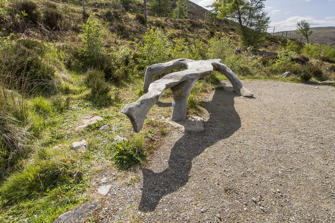 Nazwa:  Y0009286.jpg
Wyświetleń: 409
Rozmiar:  590,6 KB