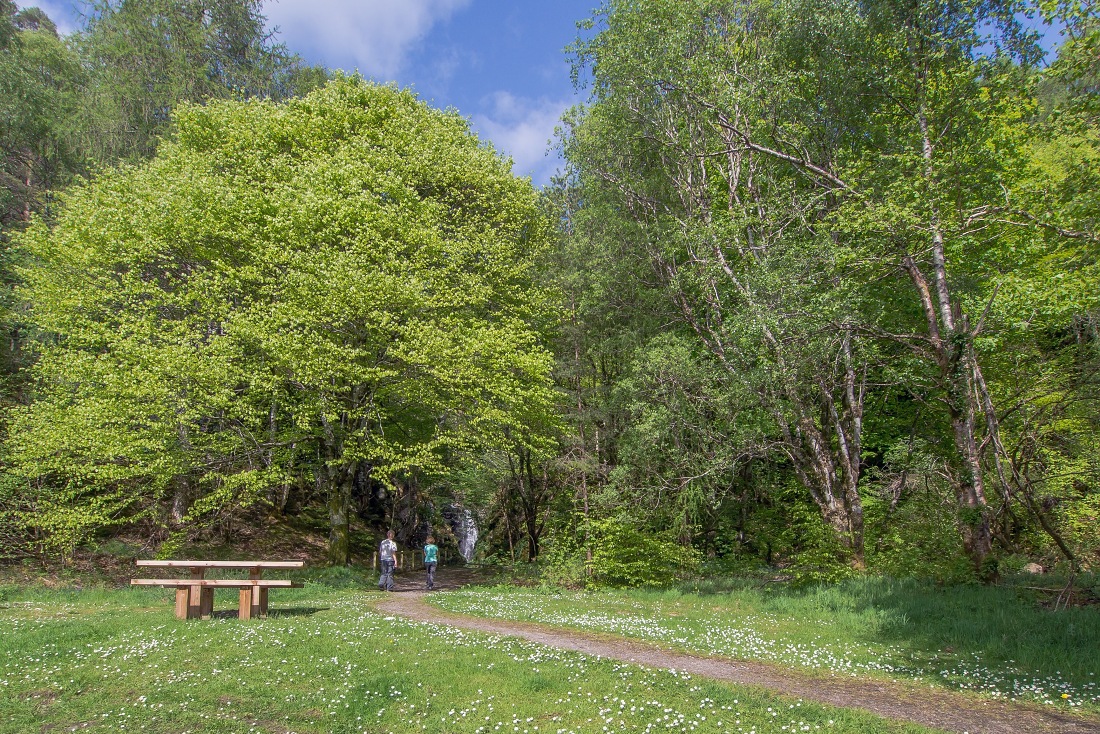 Nazwa:  Y0009287.jpg
Wyświetleń: 404
Rozmiar:  578,0 KB