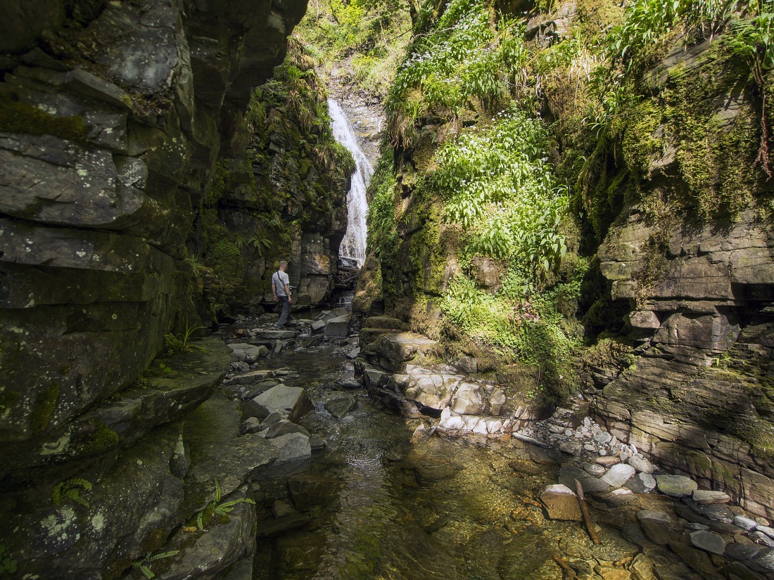 Nazwa:  Y0009293.jpg
Wyświetleń: 414
Rozmiar:  553,2 KB