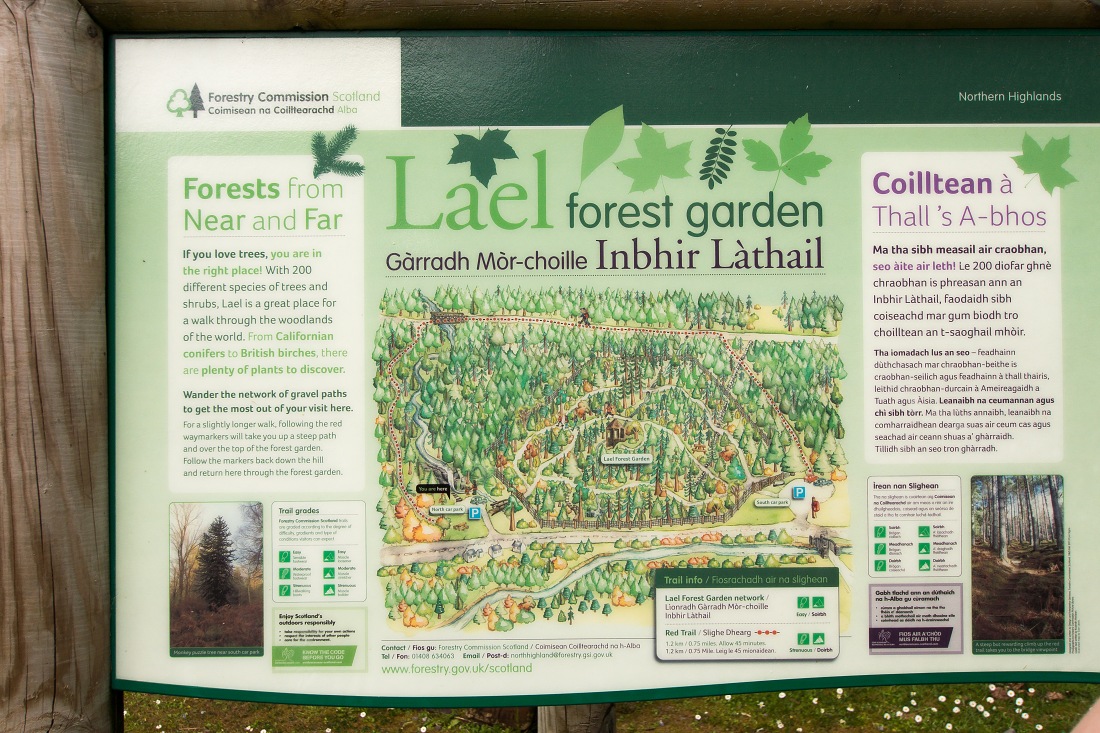 Nazwa:  Y0009299.jpg
Wyświetleń: 404
Rozmiar:  364,9 KB